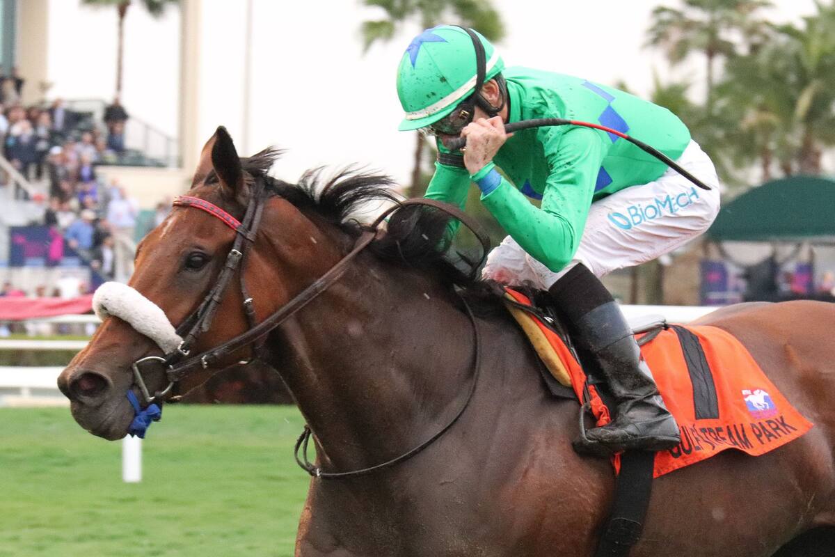 Chis Landeros festejó sobre la yegua Sí Que Es Buena, que lleva dos triunfos en fila en Gulfstream Park