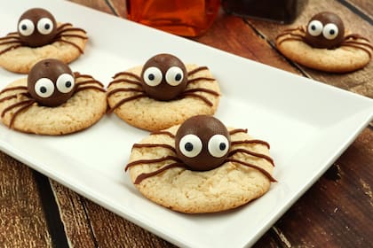 Chocolate Halloween spider cookies on a white plate on rustic wood table