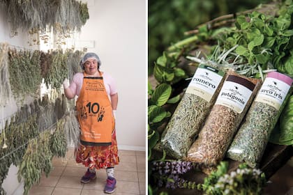 Choli, junto a las hierbas aromáticas en pleno proceso de secado, que luego se envasan para la venta.