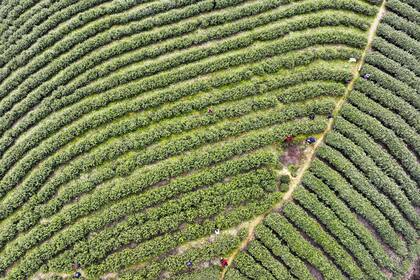 Chongqing, China. Edición fotográfica de Jesica Rizzo