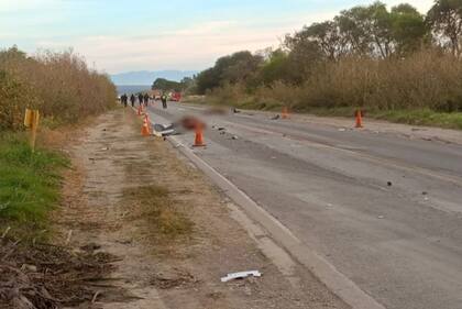 Salta: una maestra murió luego de que el auto que la había levantado en la ruta tras hacer dedo chocara contra unos caballos