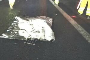 Choque y muerte en Panamericana
