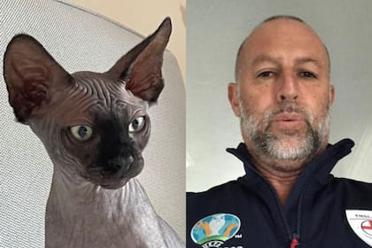 Chris Rowel y su gato esfinge Eric (Foto: Facebook)
