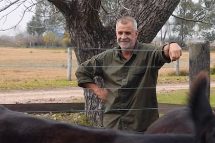 Christian Petersen en su campo La Villa, con su rodeo seleccionado de 10 vacas puras de pedigree