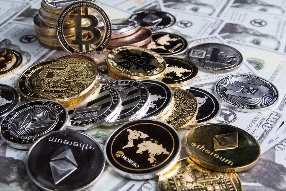 Christopher Williamson invirtió 20 dólares en la criptomoneda Rocket Bunny y al otro día tenía en su haber 1,4 billones de dólares