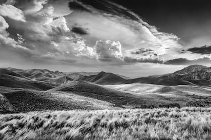 "Cielo que habla a la tierra" (2018) define una línea de la búsqueda de Furer