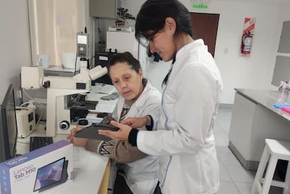 Investigadoras del Hospital Arturo Oñativia de la ciudad de Salta