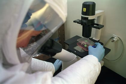 Los experimentos científicos solo puede interpretarse dentro de un marco muy específico, explicó la doctora Lennon