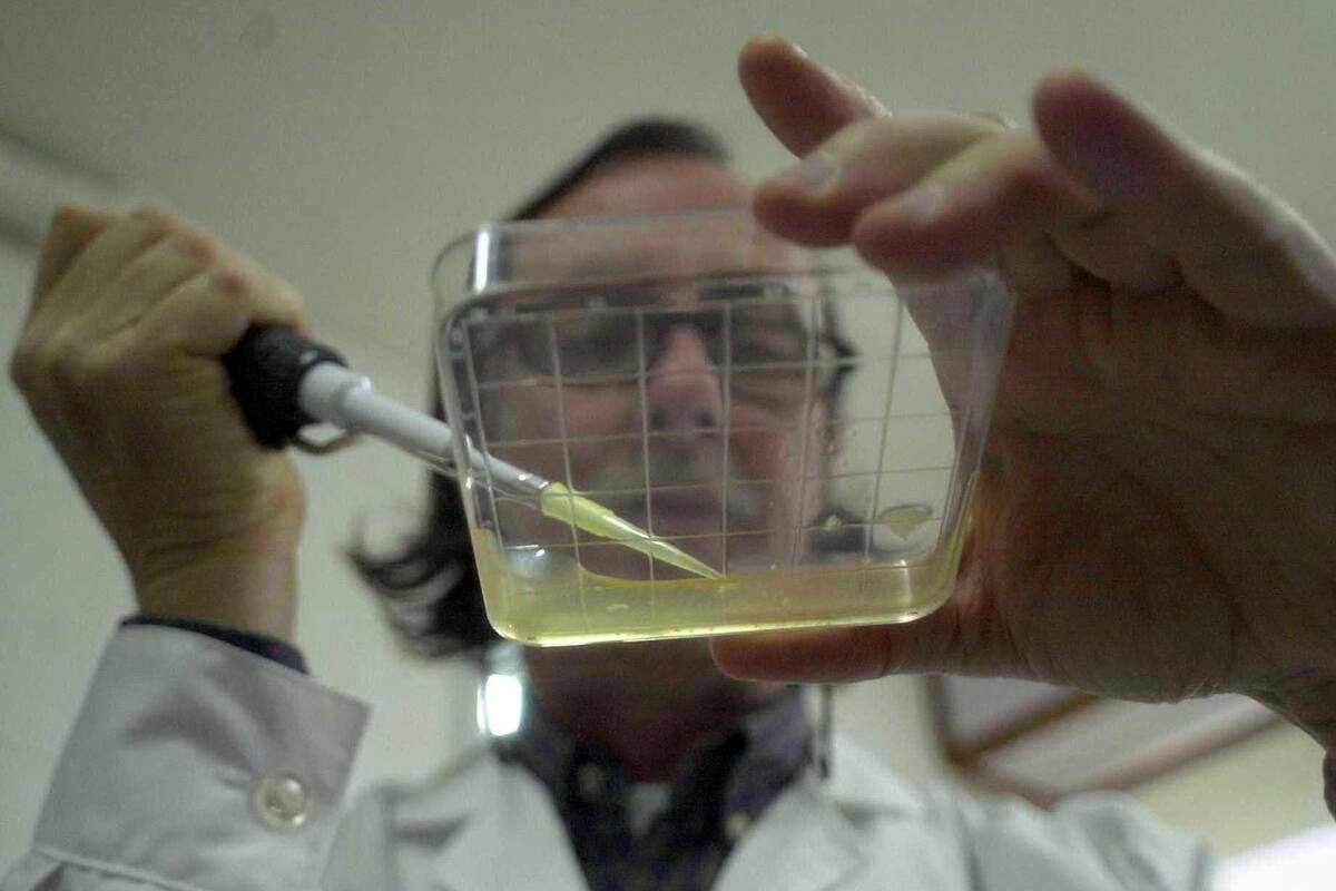 cientifico en el laboratorio