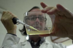 cientifico en el laboratorio