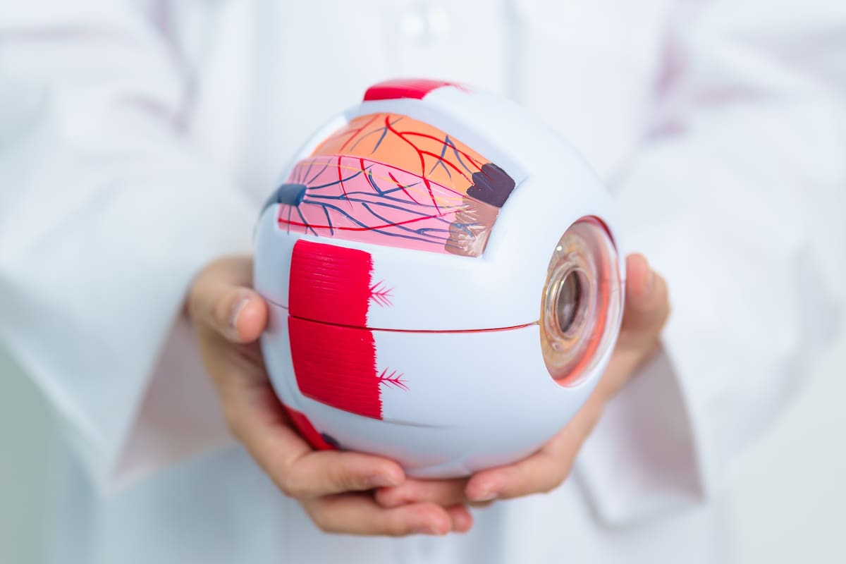 Científicos argentinos desarrollaron Retinar, una plataforma que utiliza IA y machine learning para asistir a los oftalmólogos en la detección de retinopatía diabética y glaucoma, dos patologías prevenibles que provocan ceguera