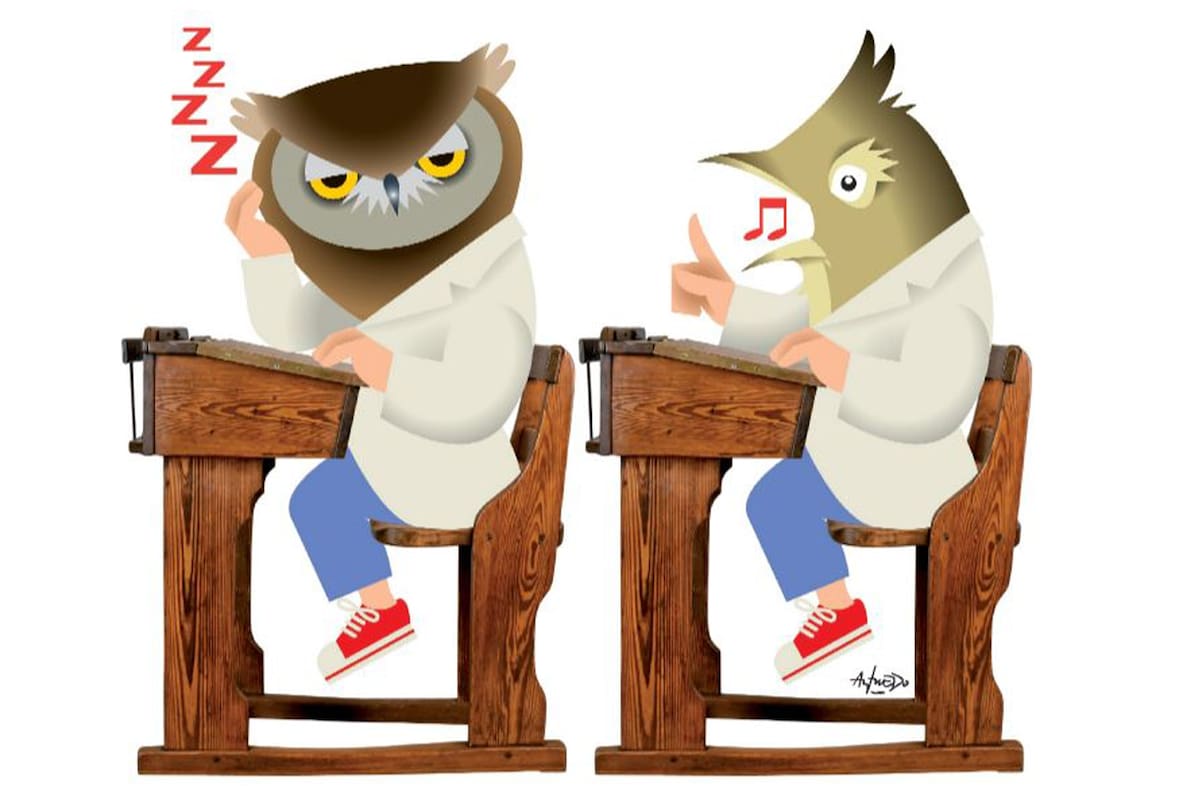 Científicos argentinos verificaron que los adolescentes tienen mejor desempeño cuando la tendencia individual se alinea con el turno (mañana, tarde o noche)