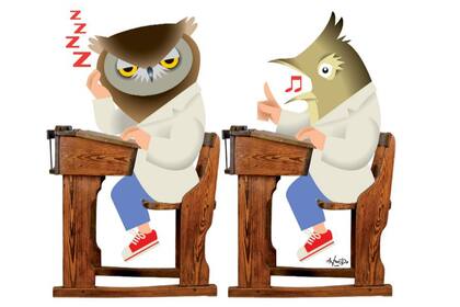 Científicos argentinos verificaron que los adolescentes tienen mejor desempeño cuando la tendencia individual se alinea con el turno (mañana, tarde o noche)