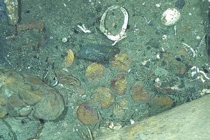 Científicos de la Armada de Colombia descubrieron símbolos en las monedas encontradas en el naufragio del galeón San José