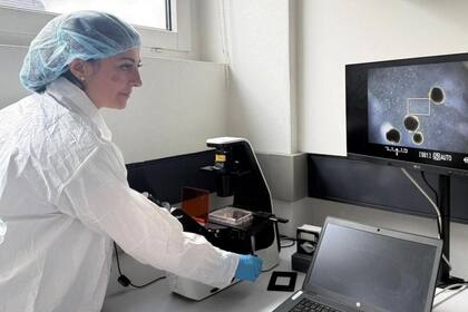 Científicos de Vevey, Suiza, están creando biocomputadoras derivadas de células de piel humana.