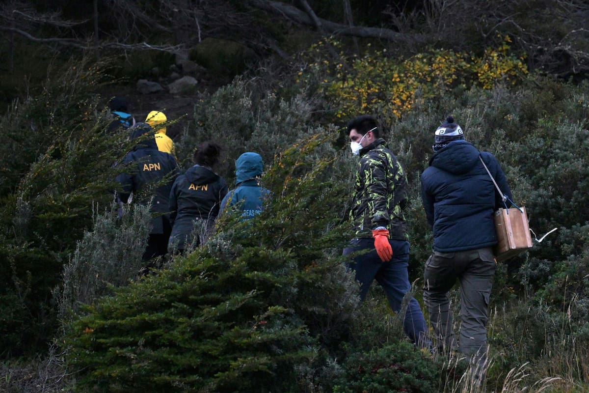 Científicos del Malbrán, que depende del Ministerio de Salud, y personal de Parques Nacionales empezaron a colocar trampas para atrapar roedores en Ushuaia