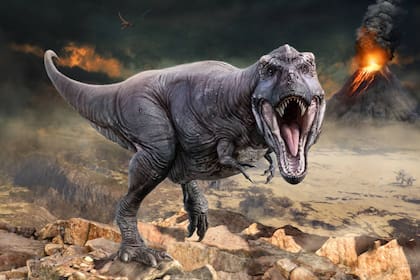 Científicos descubrieron que los mamíferos ya eran terrestres antes de que se extinguieran los dinosaurios.
