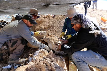 Científicos encontraron restos de un gran depredador marino del periodo Jurásico