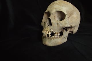 Científicos hallan la evidencia más antigua de la peste, de hace 5500 años