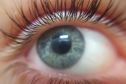 Científicos y oftalmólogos advierten que la infestación con un diminuto parásito podría originar o agravar la sequedad, irritación y prurito ocular que afecta hasta a un 60% de la población