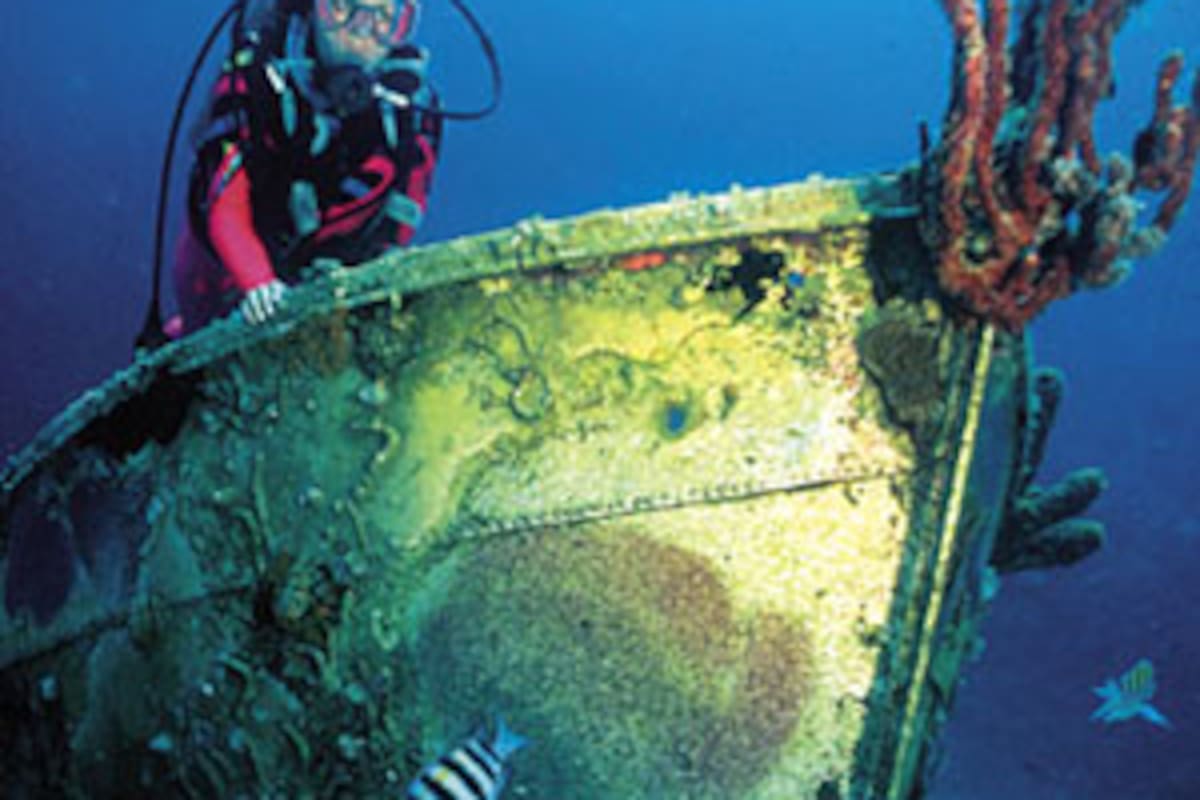 Cientos de barcos hundidos en aguas claras guardan tesoros de peces y corales
