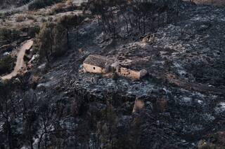 Cientos de bomberos combaten un incendio forestal en el sur de España que suma 12 muertos