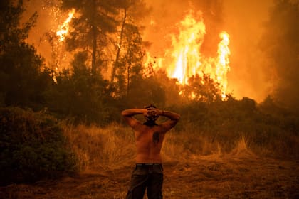 Cientos de bomberos griegos lucharon desesperadamente para controlar los incendios forestales en la isla griega de Evia que carbonizaron vastas áreas de bosque de pinos, destruyendo hogares y obligando a turistas y lugareños a huir