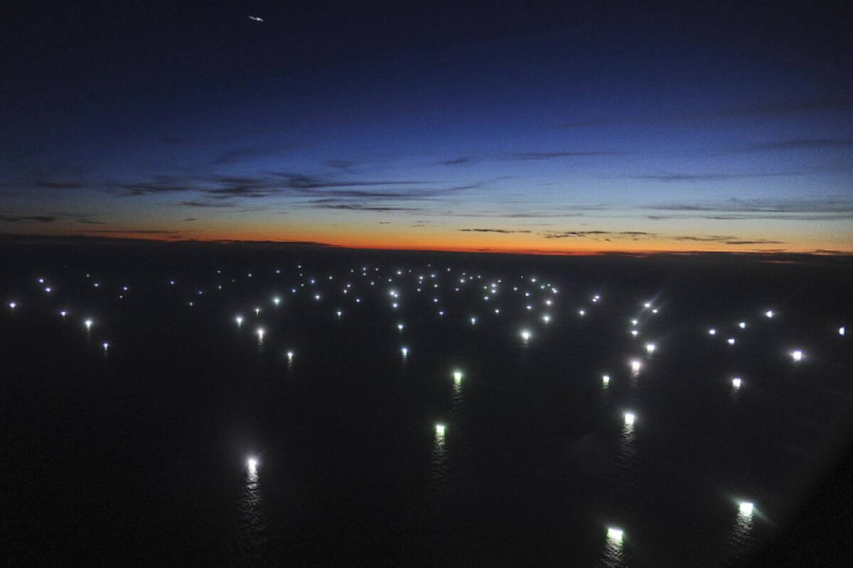Cientos de buques pesqueros depredan la fauna del mar argentino.