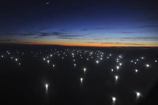 Mar argentino en peligro: buques pesqueros depredan su fauna