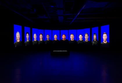 "Cientos de millones de años para estas formas", videoinstalación de Florencia Levy