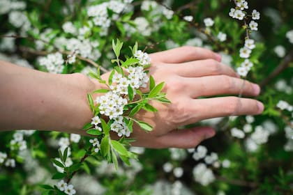 Cientos de pequeñas flores juntas producen un efecto contundente
