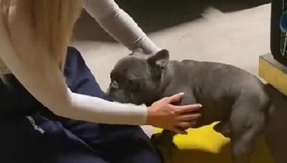 Cientos de personas reaccionaron a la historia y se emocionaron