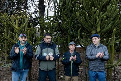 Cierre de la jornada de raleo en Villa Pehuenia.