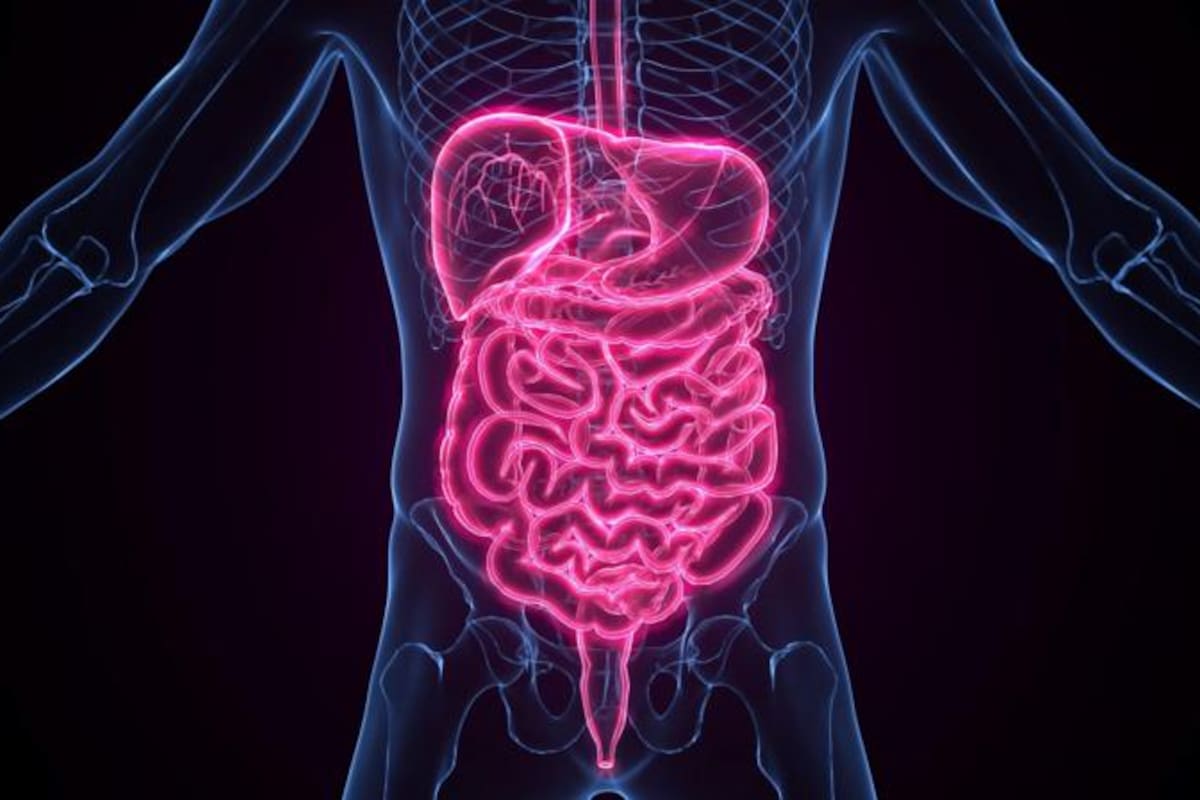 Ciertos alimentos pueden desempeñar un papel crucial en la promoción de la salud cardiovascular y el control de la glucosa en sangre