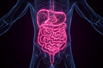 Ciertos alimentos pueden desempeñar un papel crucial en la promoción de la salud cardiovascular y el control de la glucosa en sangre