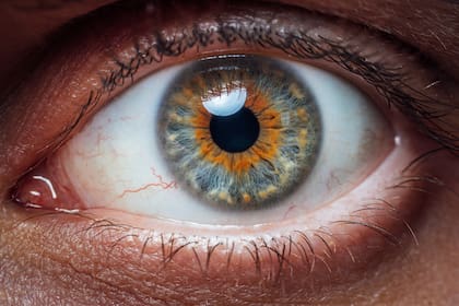 Ciertos nutrientes y vitaminas mantienen los ojos sanos