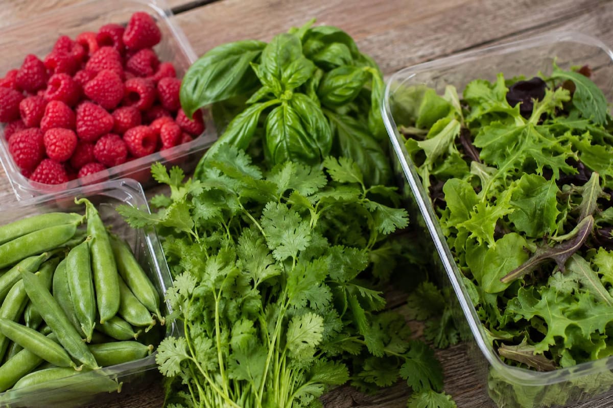 Ciertos vegetales distribuidos en Miami y Palm Beach están asociados con casos de ciclosporiasis