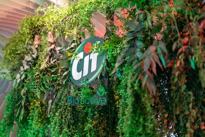 Cif presenta sus nuevas botellas 100% recicladas y reciclables.