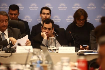Cifelli, ayer, en el plenario de comisiones de la Cámara de Diputados, por el debate de "Bases y Puntos de Partida para la Libertad de los Argentinos"