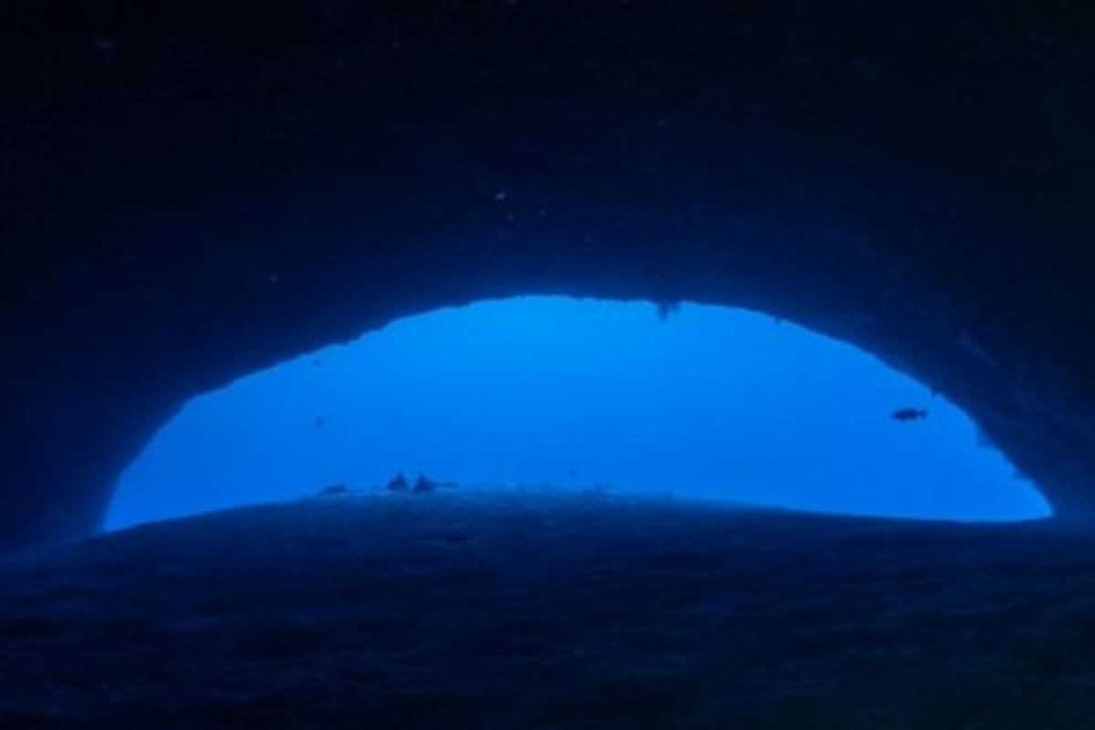 cinco expertos italianos murieron mientras buceaban en las cuevas de un atolón en las islas Maldivas
Dentro de las cámaras interiores.
- Esta segunda serie de imágenes documenta las secciones interiores más estrechas de la cueva, donde la visibilidad puede desaparecer rápidamente debido a la alteración de los sedimentos coralinos y la navegación se vuelve más compleja