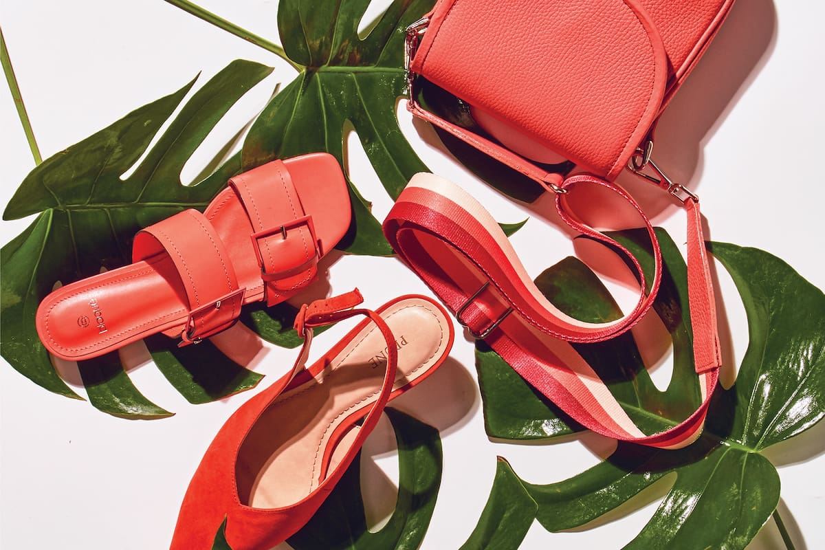 Cinco paletas de colores para elegir los zapatos y carteras de la temporada y programar compras estratégicas