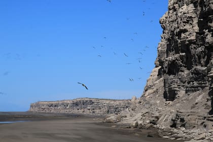 Cinco playas en Patagonia: El Condor