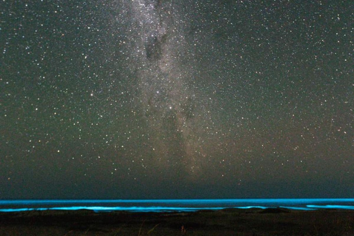 Cinco playas escondidas en Uruguay para disfrutar el mar de otra manera