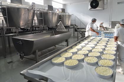 Cinco pymes lácteas cordobesas armaron el grupo "Sensaciones queseras"