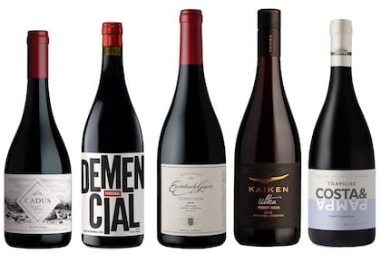 Cinco recomendables Pinot en su característica botella estilo Borgoña