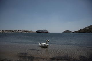 Cisne