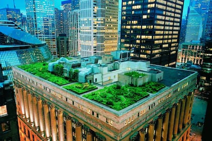 Pensar en verde: el City Hall de Chicago, por ejemplo, como una terraza "salvaje" para brindar calidad ambiental, sonora y visual