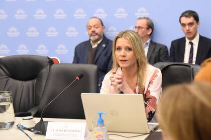 Claudia Balestrini, subsecretaria de Ingresos Públicos, en la Comisión de Presupuesto de Diputados