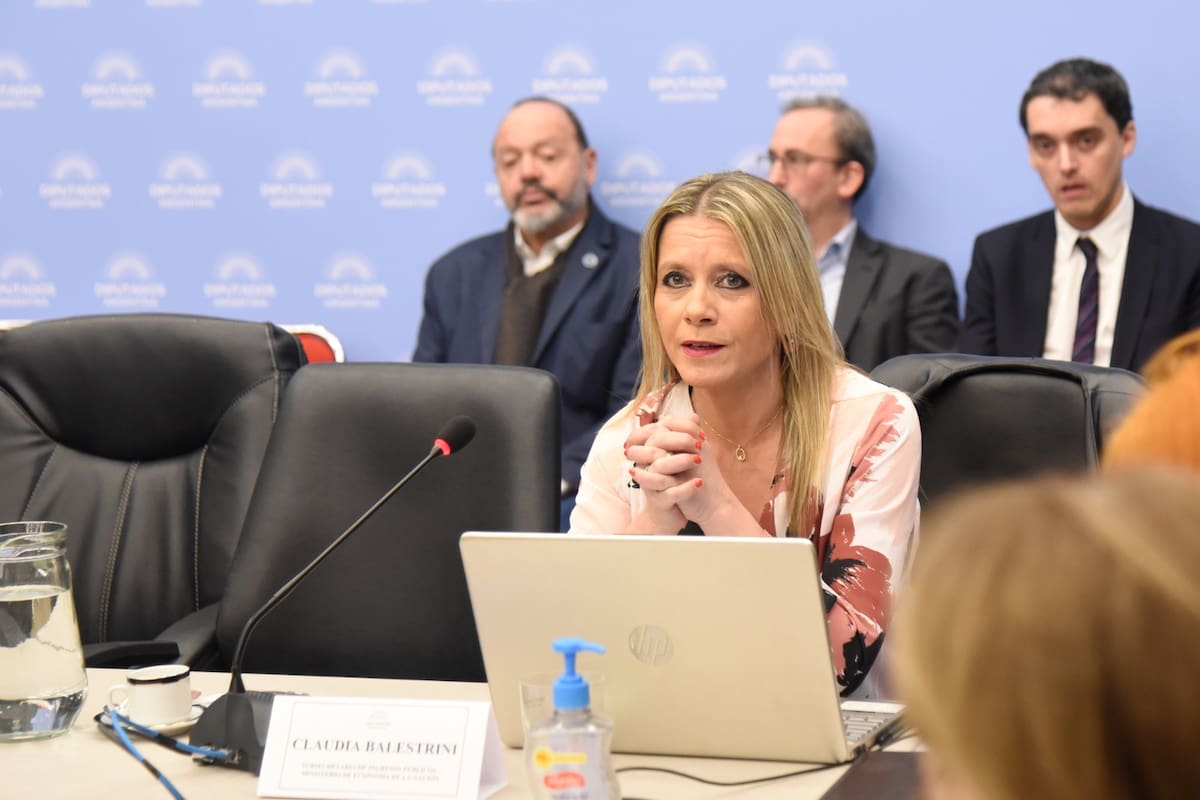 Claudia Balestrini, subsecretaria de Ingresos Públicos, en la Comisión de Presupuesto de Diputados