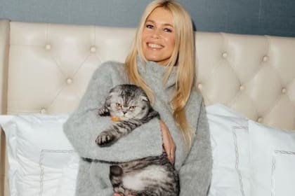 Claudia Schiffer sorprendió al acudir a la avant premier de Argylle: agente secreto con su gato Chip